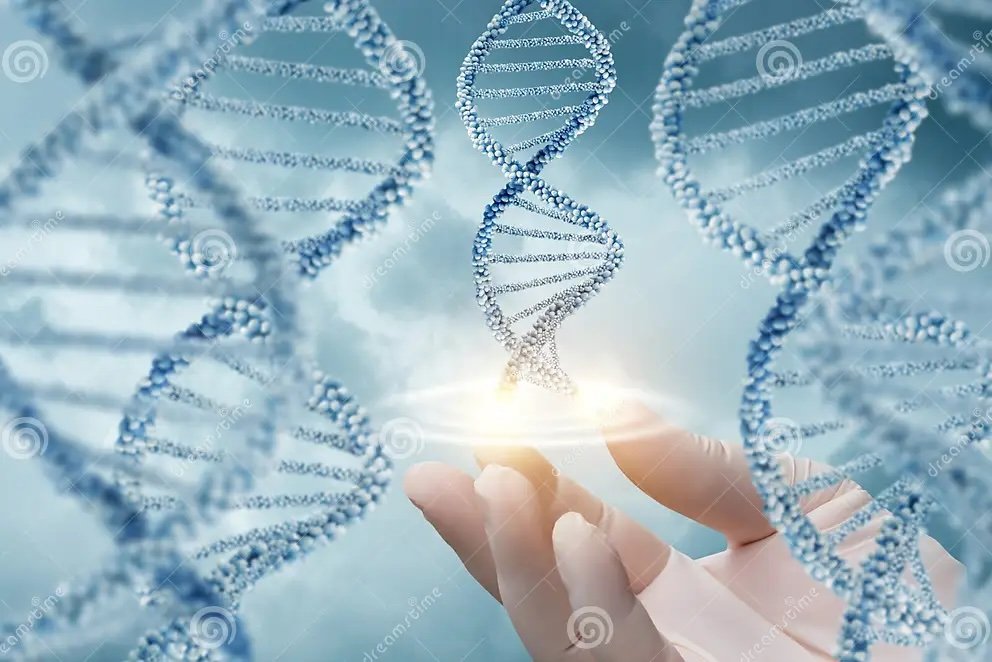 ДНК генетика